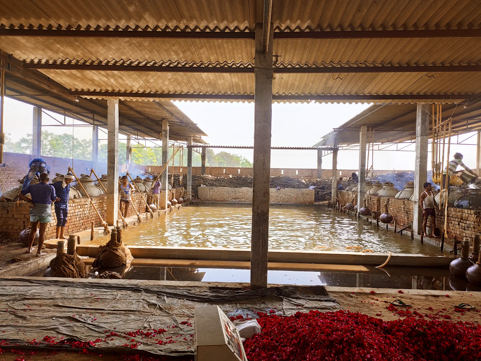 The Asam & Co. distillation yard in Kannauj — copper degs, condensers and rose petals